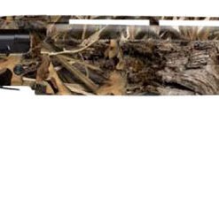 Browning Gold Light Field Shotgun 011294113, 10 Gauge, 28", 3.5" Chmbr, Mossy Oak Shadow Grass Blades Finish