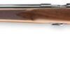 Browning T-Bolt Target/Varmint Left-Hand Rifle 025185270, 17 HMR, 22", Bolt Action, Satin Walnut Stock, Blue Finish