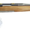 Browning X-Bolt White Gold Medallion Maple Rifle 035332218, 308 Win, 22", Maple Stock, Stainless Finish